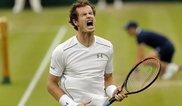 Milos Raonic Andy Murray Wimbledon final preview
