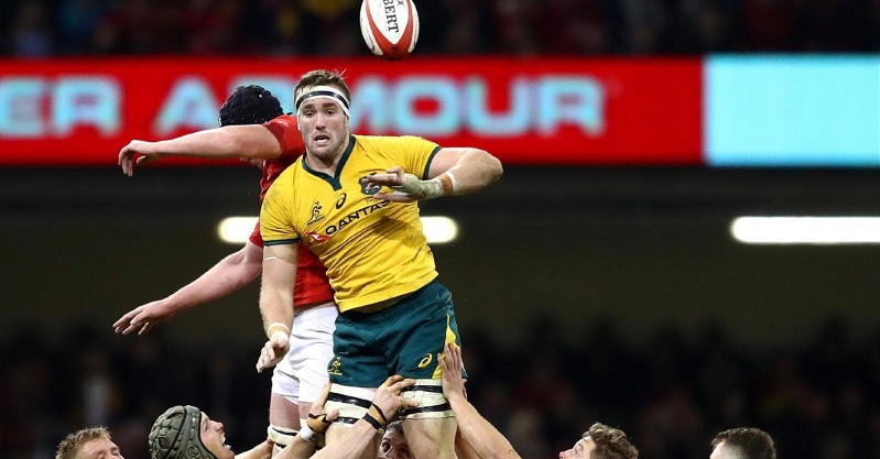 Australia Wales rugby world cup betting preview
