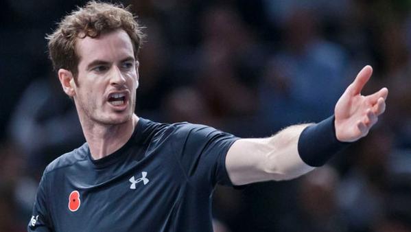 David Ferrer Andy Murray betting preview pick