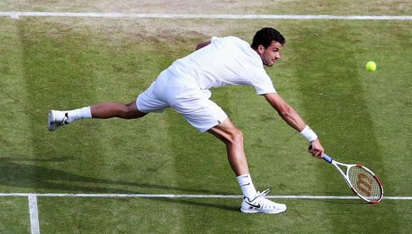 Steve Johnson Grigor Dimitrov betting preview