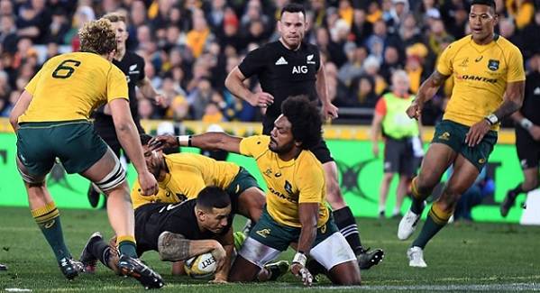 New Zealand Australia Rugby Championship prediction