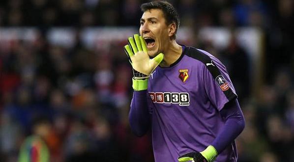 Costel Pantilimon Watford