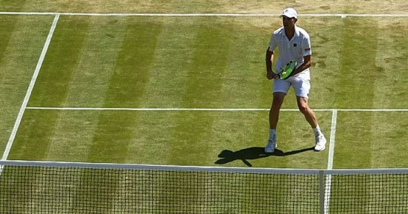 Querrey Anderson betting preview