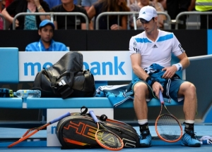 David Ferrer Andy Murray predictions