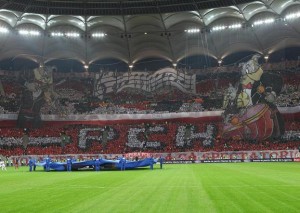dinamo bucharest fans