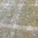 timisoara stade francais weather